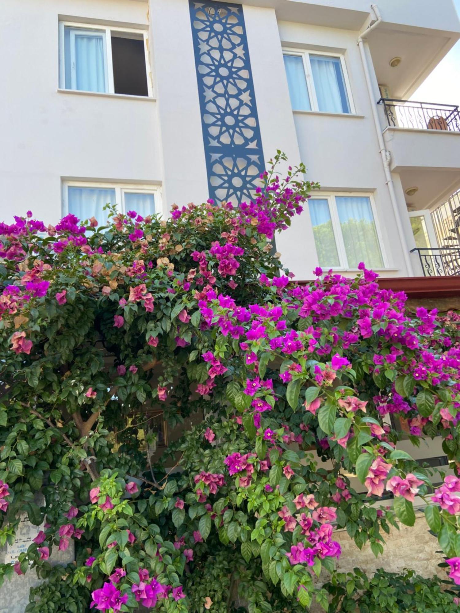 Serenity Suites Hotel Antalya Eksteriør billede